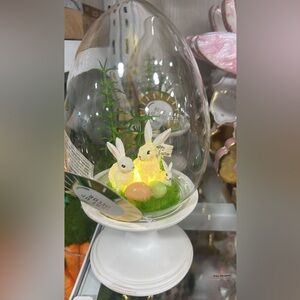 Easter Bunny Clear Light Up Egg Cloche